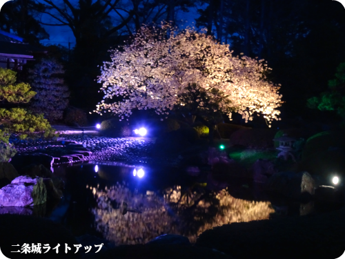 0406-10
