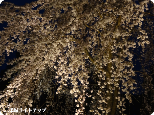 0406-11