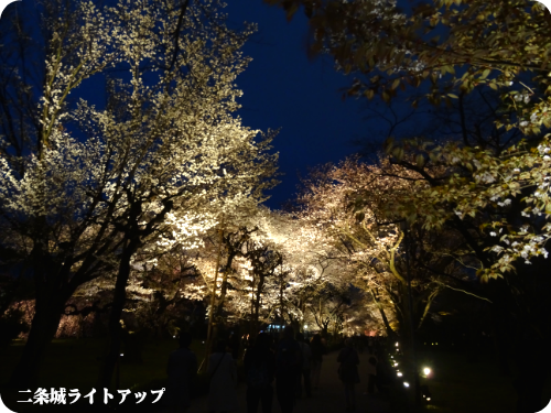 0406-12