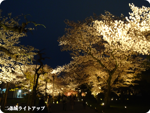 0406-15