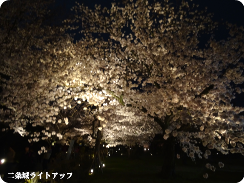 0406-17