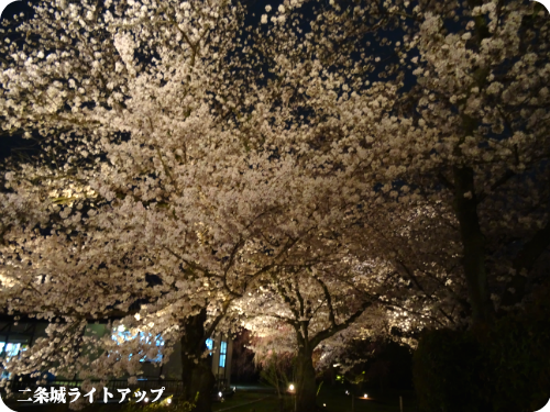 0406-21