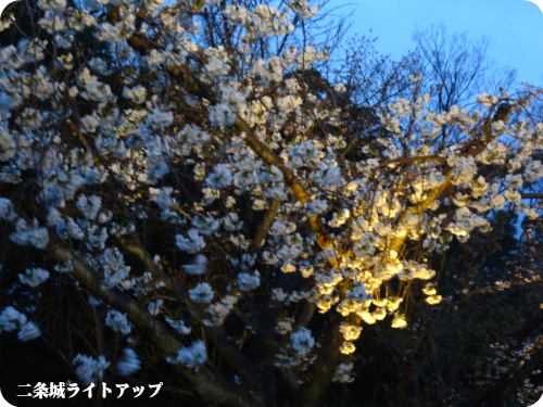 0406-4
