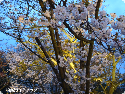 0406-5