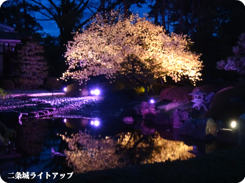 0406-8