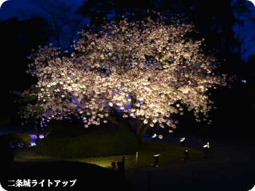 0406-9